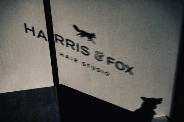 HARRIS & FOX slide 4